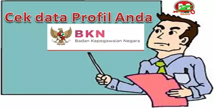 cekprofildatapns
